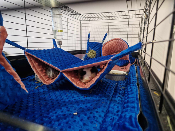 Mata do klatki dla świnki, jeża 140x70 wodoodporna miętowa