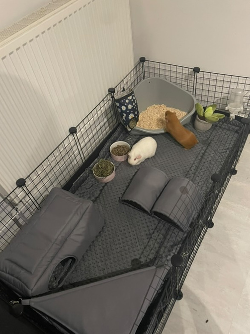 Mata do klatki dla świnki, jeża 145x75 wodoodporna fiolet