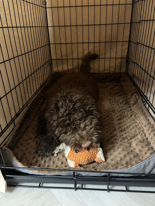 Mata do klatki dla świnki, jeża 100x40 wodoodporna granatowa