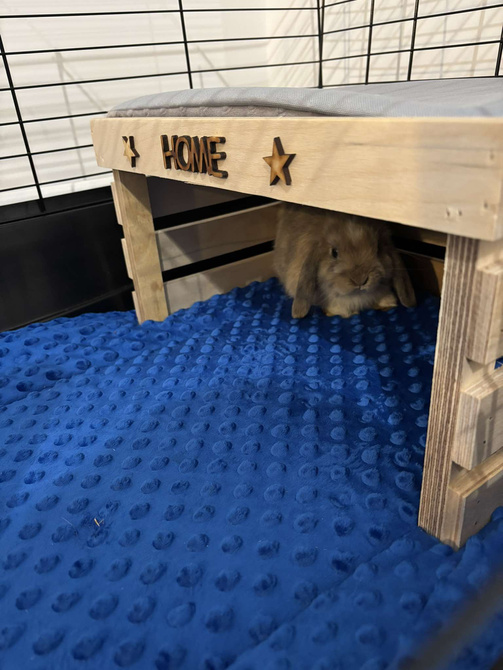 Mata do klatki dla świnki, jeża 120x60 wodoodporna fiolet z rantami