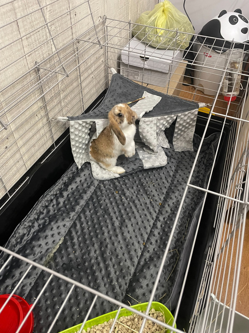 Mata do klatki dla świnki, jeża 100x50 wodoodporna ciemna zieleń