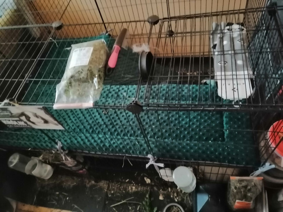 Mata do klatki dla świnki, jeża 120x60 wodoodporna ciemno szara