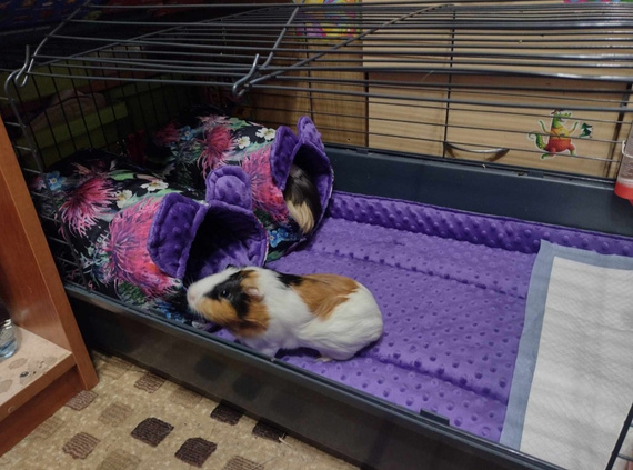 Mata do klatki dla świnek, królika 145x110 wodoodporna beżowa