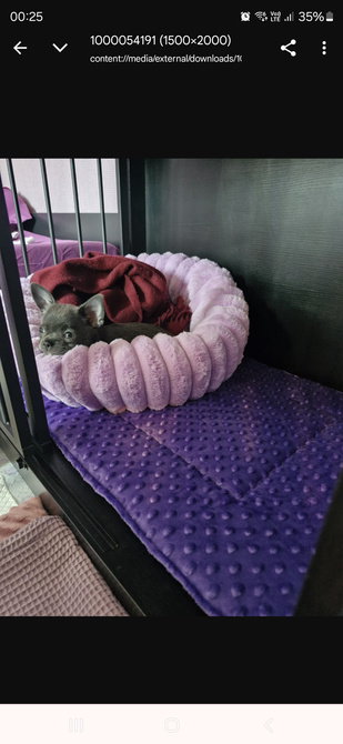 KENNEL MAT Pro+ S 63x44cm – wodoodporna mata dla psa do klatki, transportera i auta