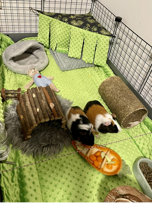 Mata do klatki dla świnki, jeża 100x40 wodoodporna jasny róż