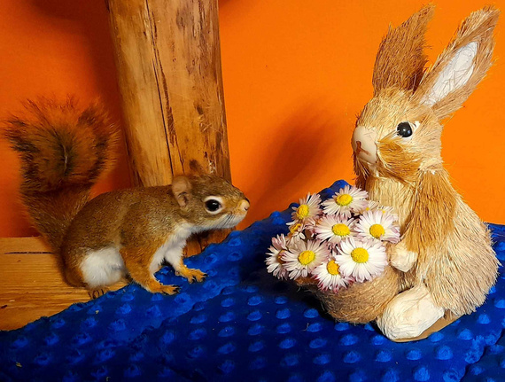 Mata do klatki dla świnek, królika 92x47 wodoodporna szara